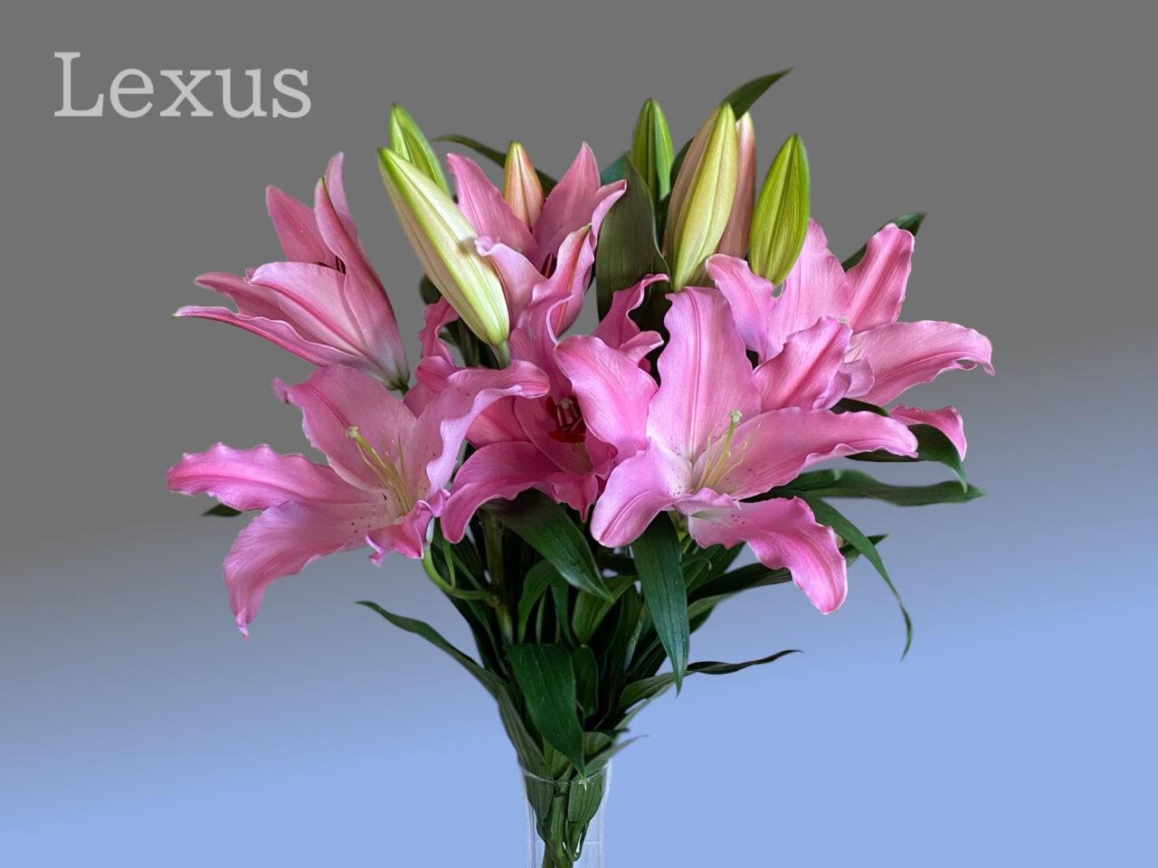 ユリLexusピンクの花束