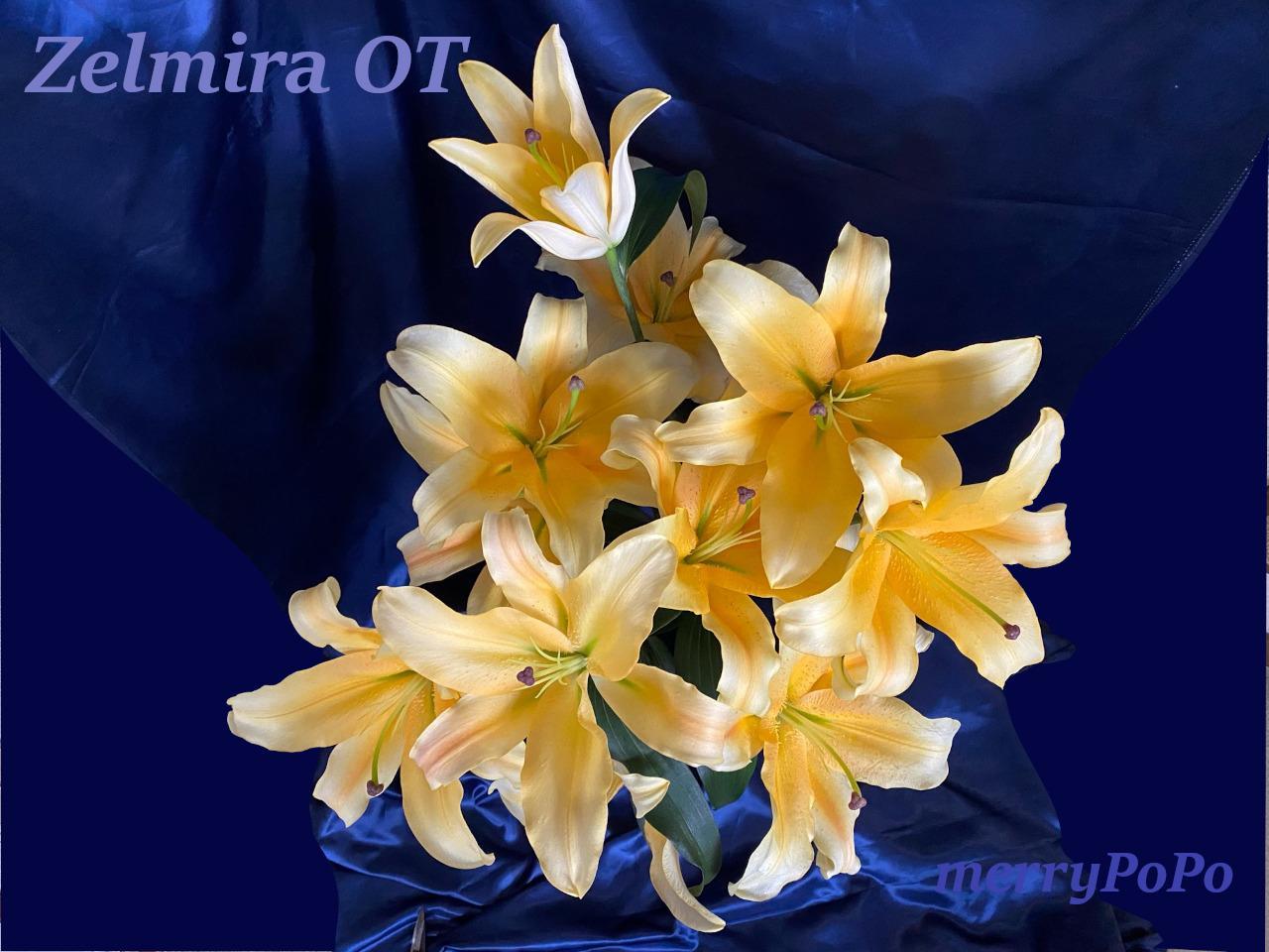 オリエンタルリリーゼルミラ花束