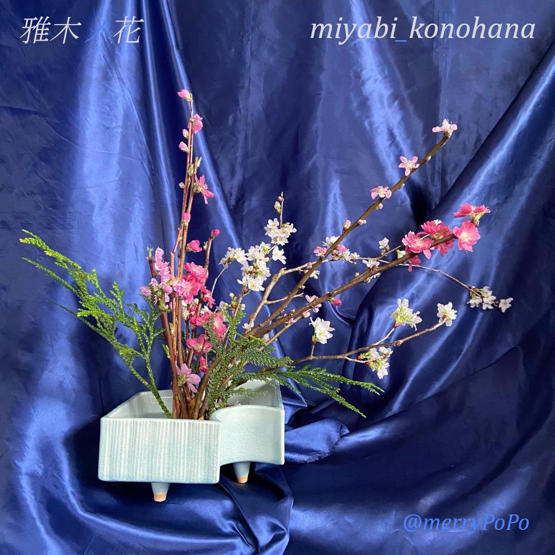 啓翁桜の三種生け左サイド画像