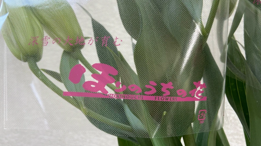 ブランド名「ほりのうちの花」ネーミングカバーの画像