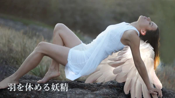羽を休める妖精のイメージ画像