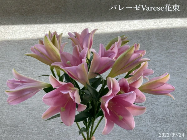 バレーゼ花束の画像