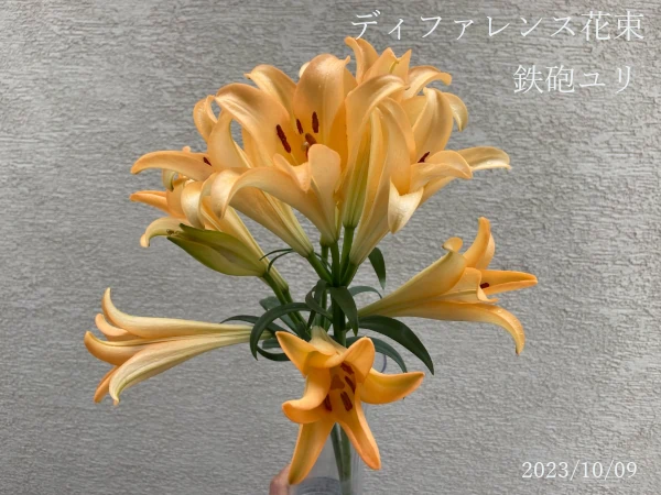 ディファレンス花束の画像